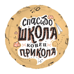 AGURA круг 18" Спасибо, школа. Конец прикола