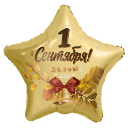 AGURA Звезда 19" 1 сентября